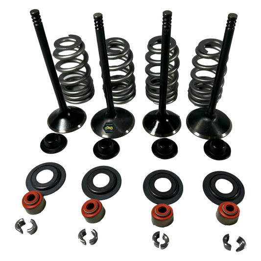 KIT DE VALVULAS DE MOTOR